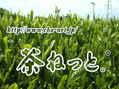 タイトル